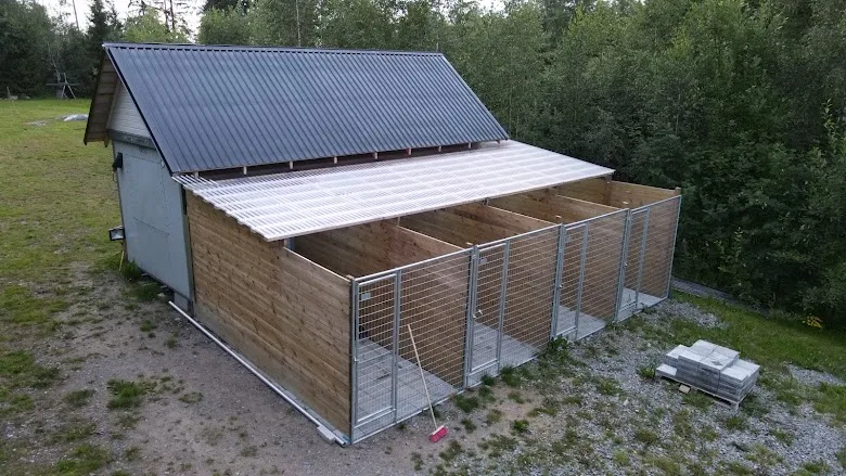 Vihdin Koirahoitola - Uusimaa pet otel görseli 3