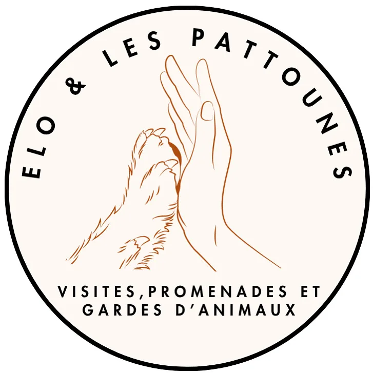 Elo et les Pattounes - Visites, Promenades et Gardes d'animaux - Val-d'Oise pet otel