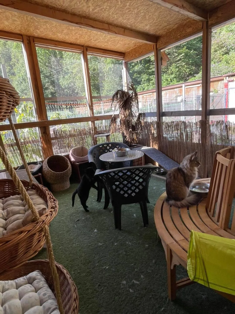 Chenil de Massongex - Valais pet otel görseli 2