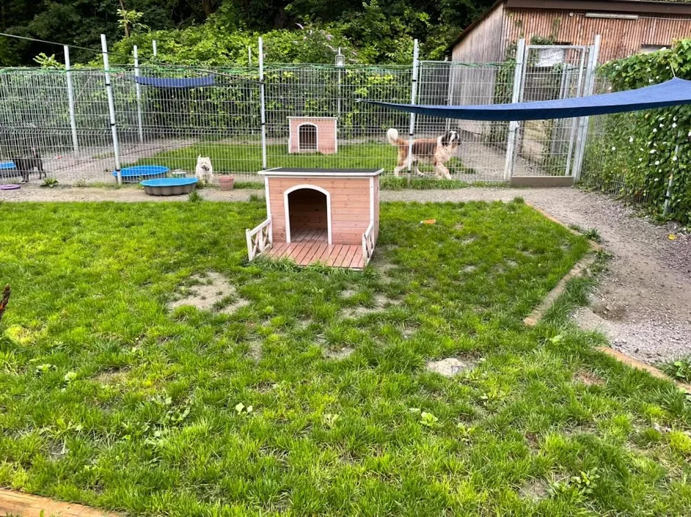 Chenil de Massongex - Valais pet otel görseli 3