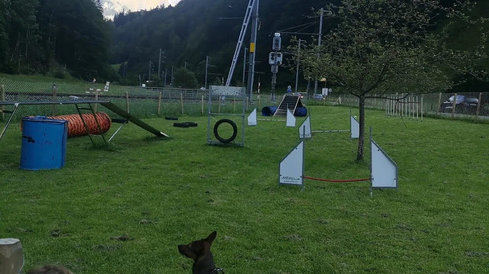 Tämis Hundeschule + Betreuung - Valais pet otel