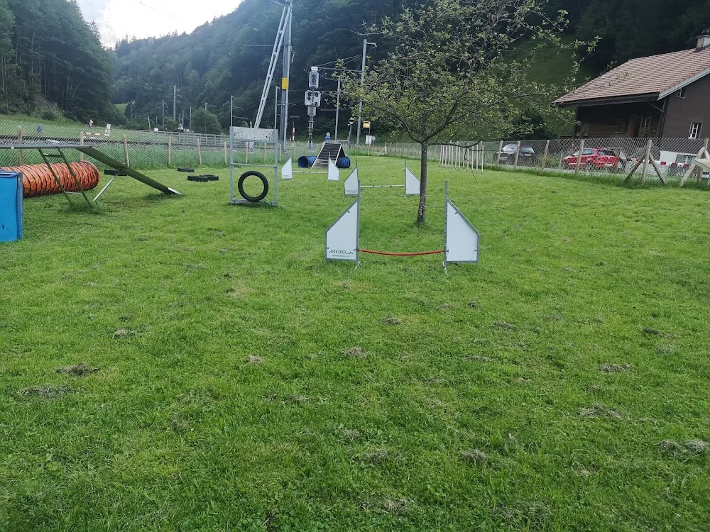 Tämis Hundeschule + Betreuung - Valais pet otel görseli 3