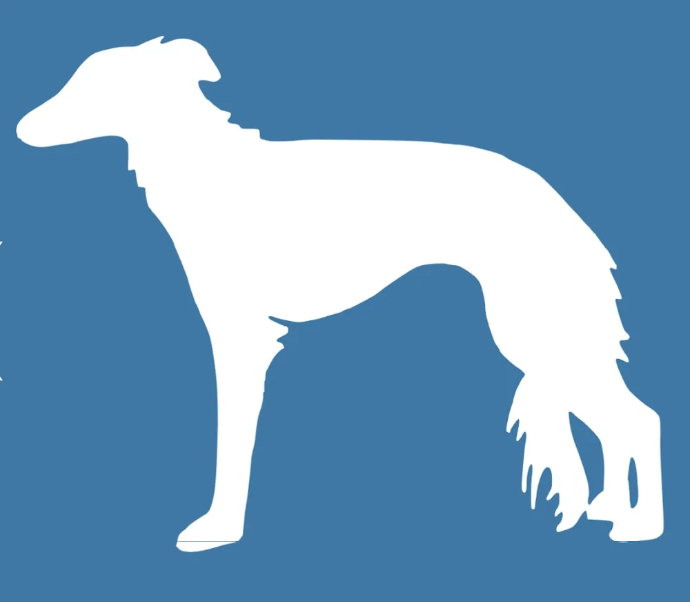 KENNEL SVENSKA WINDSPRITE - Valbo pet otel görseli 3