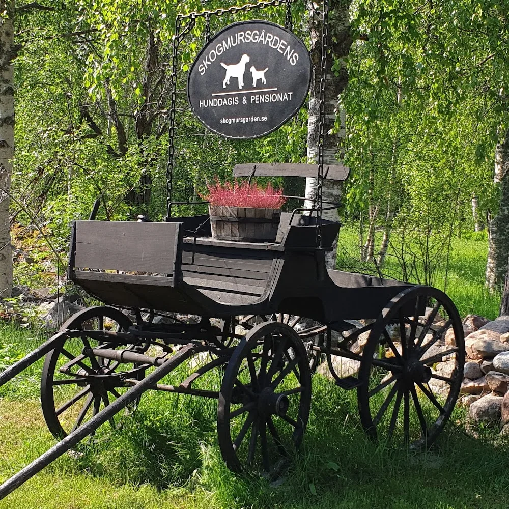 Skogmursgårdens Hunddagis & Pensionat - Valbo pet otel görseli 3