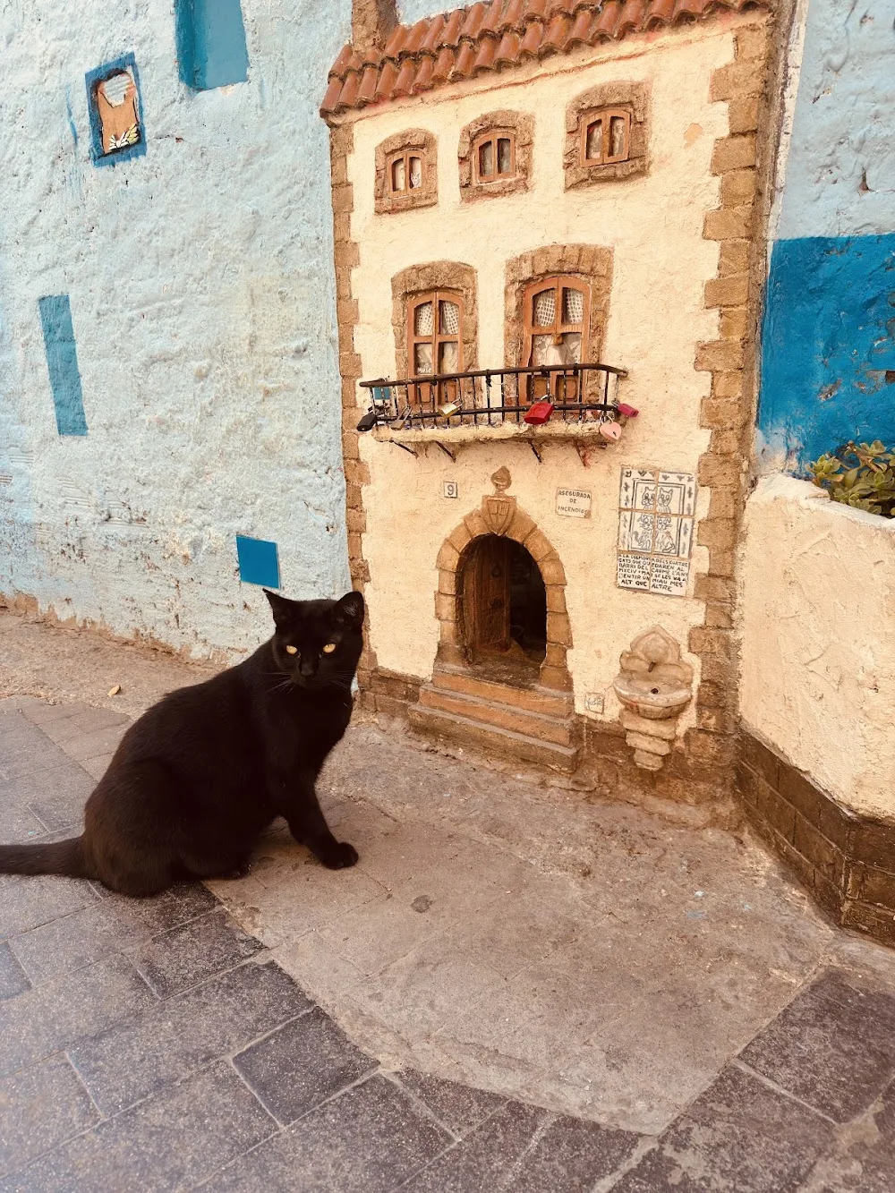 Casa de los Gatos - Valencian Community pet otel