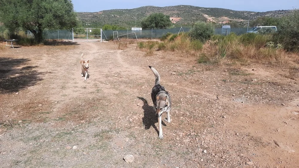 Centro canino La Serranía - Valencian Community pet otel görseli 3
