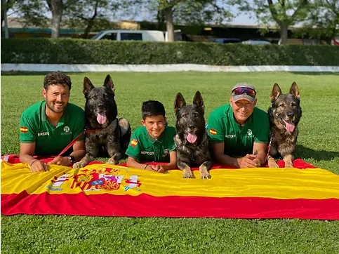 Deport-Can - Valencian Community pet otel görseli 3
