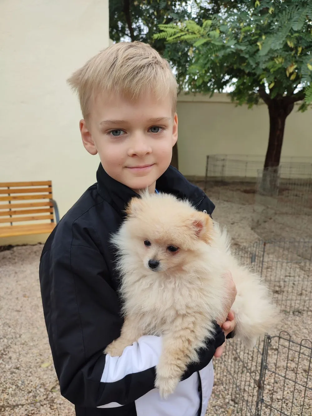 Residencia Canina Chichet - Valencian Community pet otel görseli 3