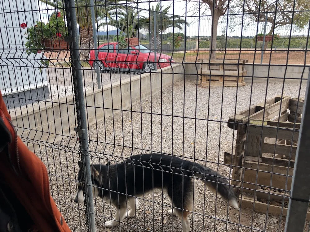 Residencia Canina de Pichera - Valencian Community pet otel görseli 3