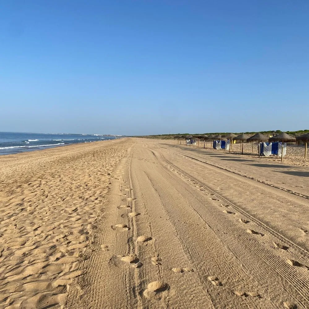 Residencia Canina Devesa Gardens Valencia - Valencian Community pet otel görseli 4