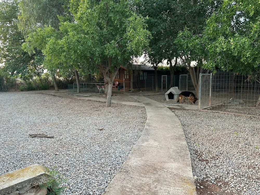 Residencia canina El Valle - Valencian Community pet otel görseli 2