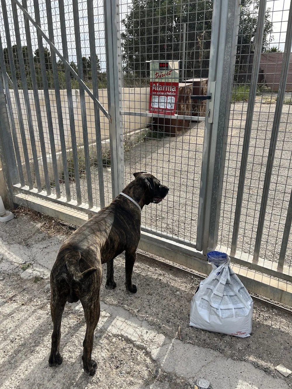 Residencia Canina LA NAHORA - Valencian Community pet otel görseli 3