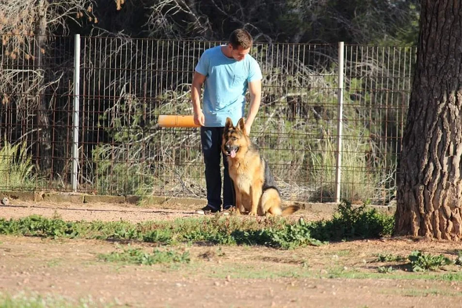 RESIDENCIA CANINA VALCAN - Valencian Community pet otel