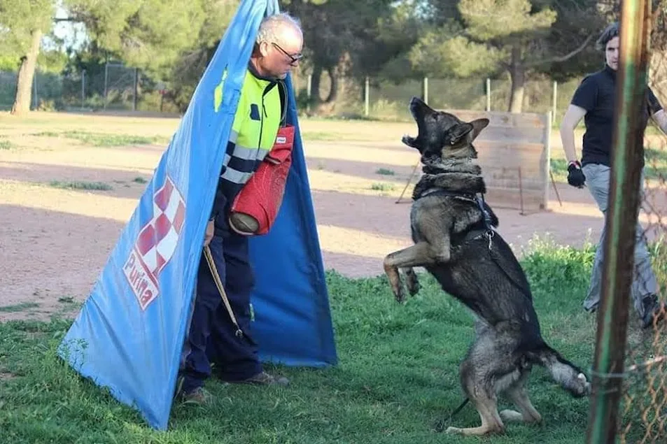 RESIDENCIA CANINA VALCAN - Valencian Community pet otel görseli 3