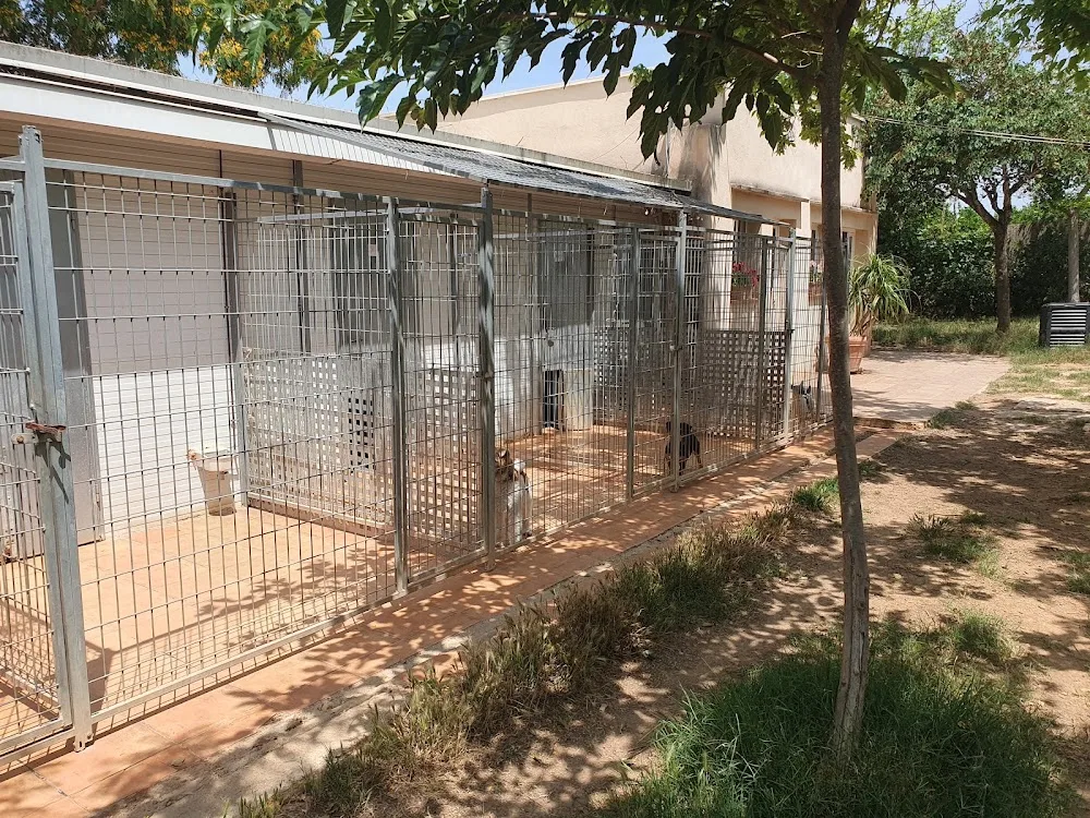Residencia Canina Vilamarxant - Valencian Community pet otel