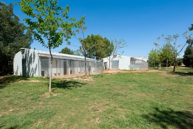 Residencia Canina Vilamarxant - Valencian Community pet otel görseli 3