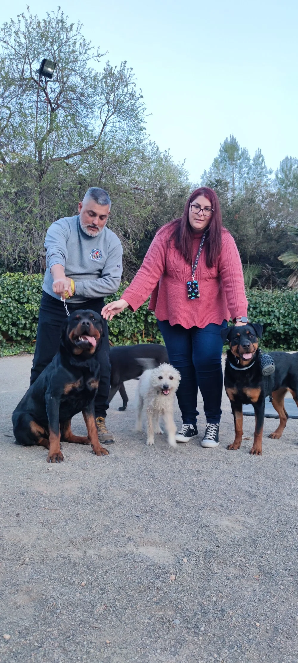 Residencia y Centro Canino Náquera Dog´s - Valencian Community pet otel görseli 3