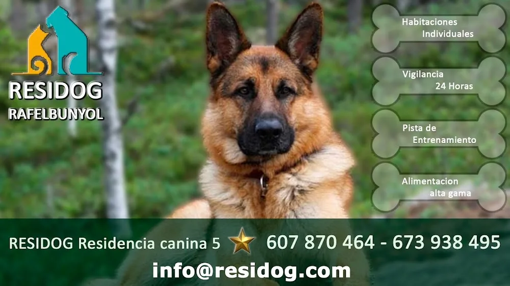 Residog - Valencian Community pet otel