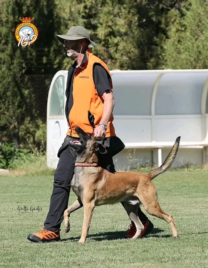CANUBER EDUCACIÓN CANINA Y GUARDERÍA - Valladolid pet otel