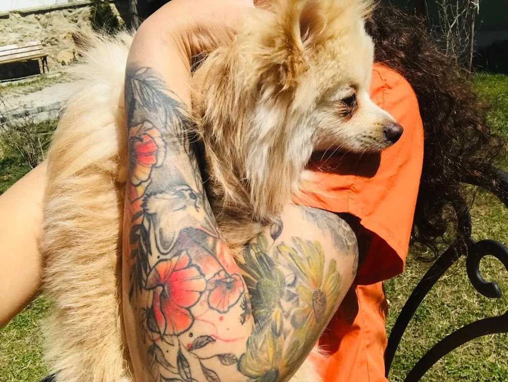 Van Edremit Doğa Pet Veteriner Kliniği ve Köpek Oteli - Van pet otel