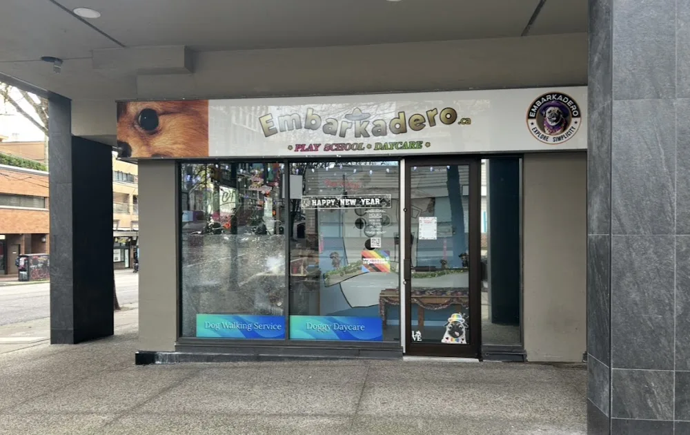 Embarkadero Doggy Daycare - Vancouver pet otel görseli 3