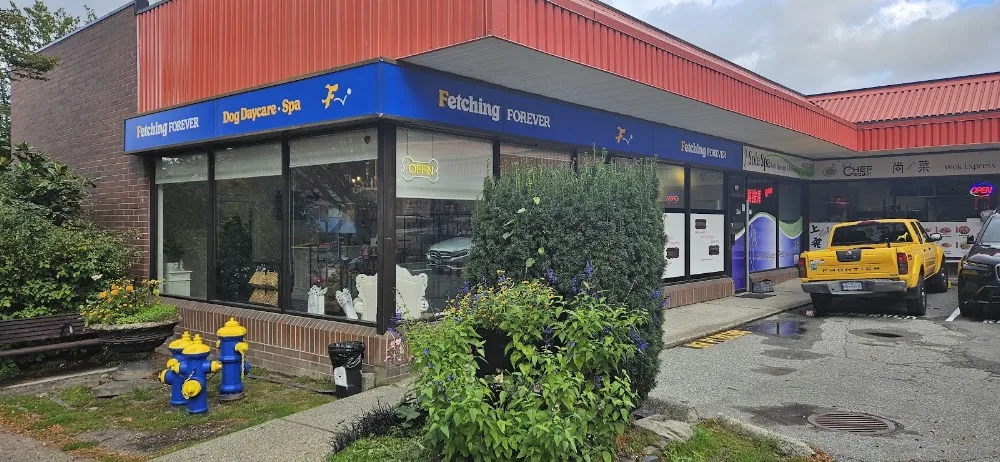 Fetching Forever Dog Daycare & Spa - Vancouver pet otel