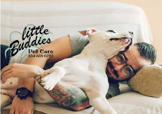 Little Buddies Pet Care - Vancouver pet otel