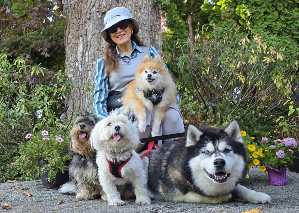 Marpole Dog Walking & Boarding Service - Vancouver pet otel görseli 3