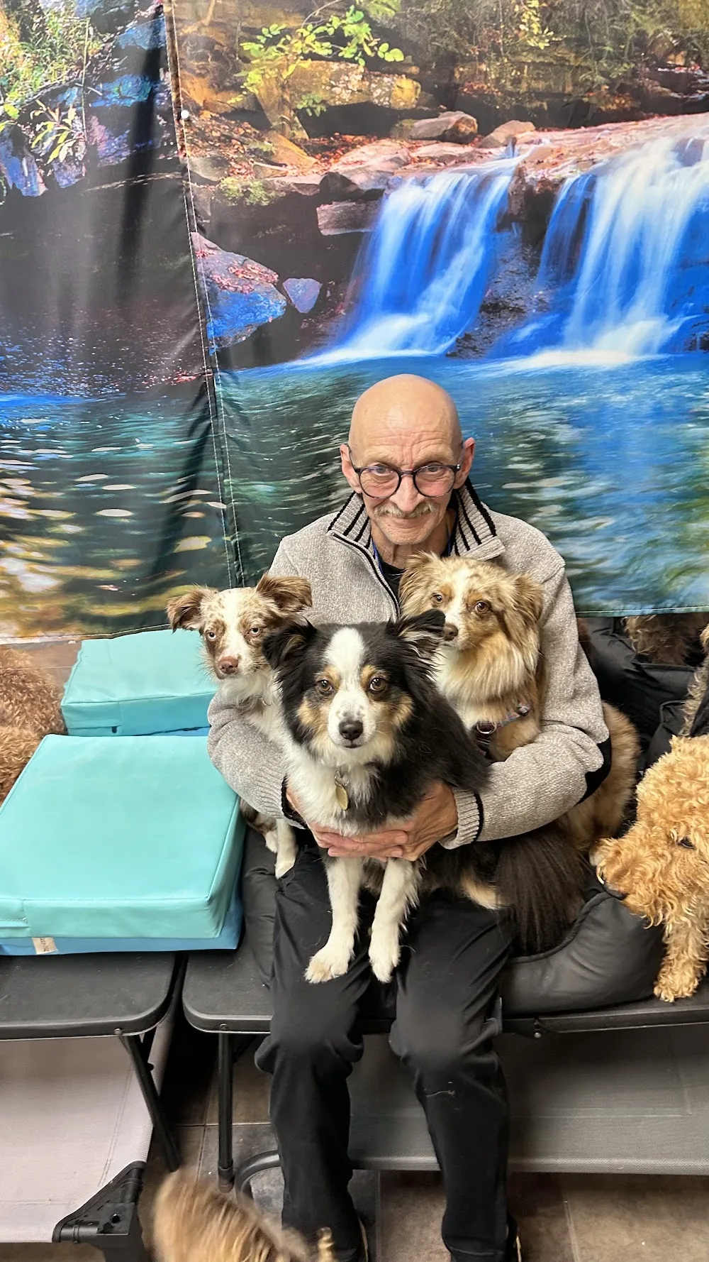 Pipsqueak Pups Daycare, Home Boarding & Grooming - Vancouver pet otel görseli 3