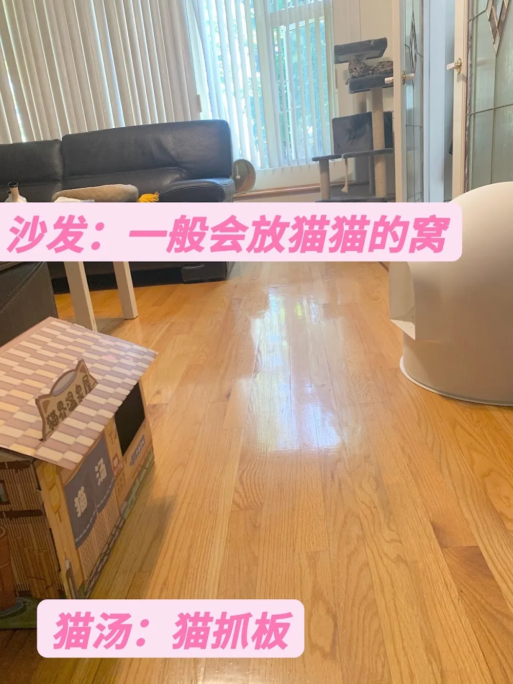 Qimiao cat house - Vancouver pet otel görseli 3