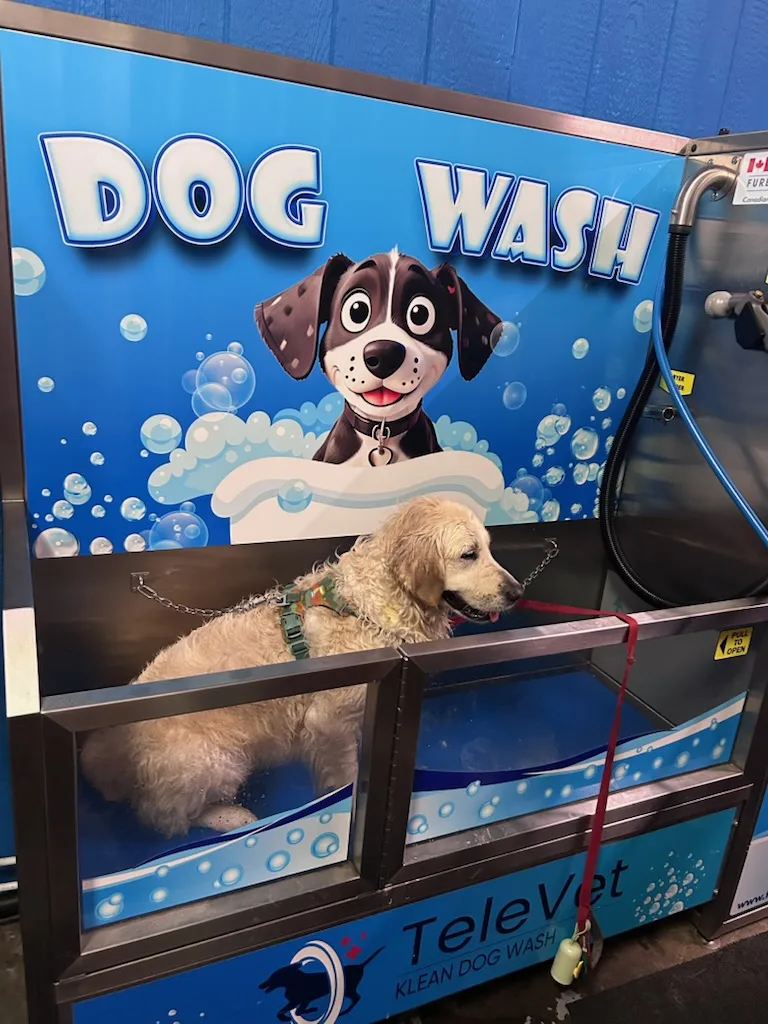 Televet Dog Wash - Vancouver pet otel