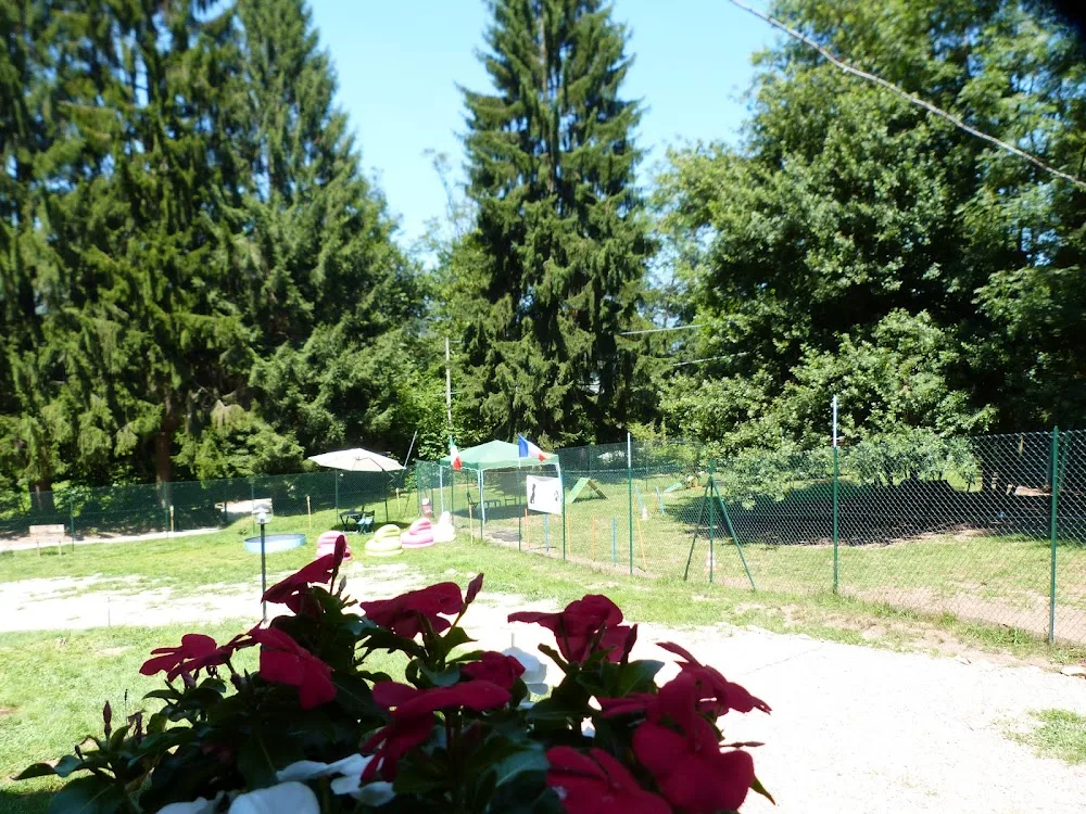 Dream Dog Resort - Varese pet otel görseli 3