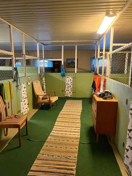 Önneruds Hunddagis & Hotell - Värmland pet otel görseli 3