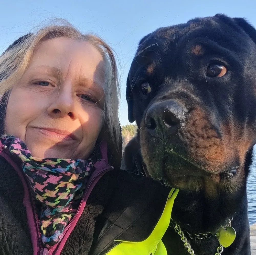 Rumpnissens kennel Instruktör Tränare & Coach - Värmland pet otel görseli 5