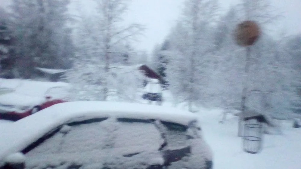 Van Disse Kaante Kuunder Kennel - Värmland pet otel