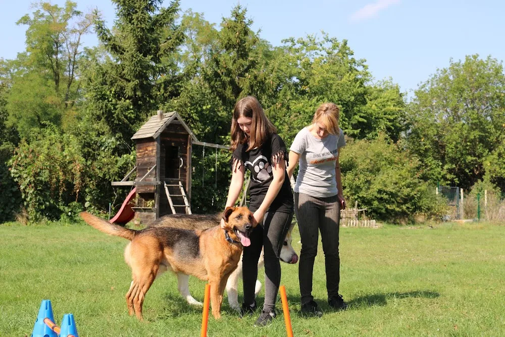 Die Hundenanny - Vas County pet otel