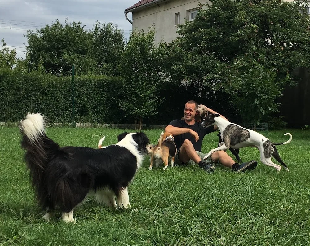 Dog Garden Home Kutyapanzió és Kutyanapközi - Vas County pet otel görseli 2