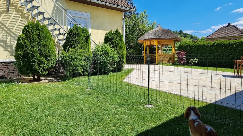 Dusty Kutyapanzió és Napközi I Pasji Penzion l Hundepension - Vas County pet otel