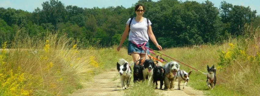Kutyapanzió Őrség - Vas County pet otel