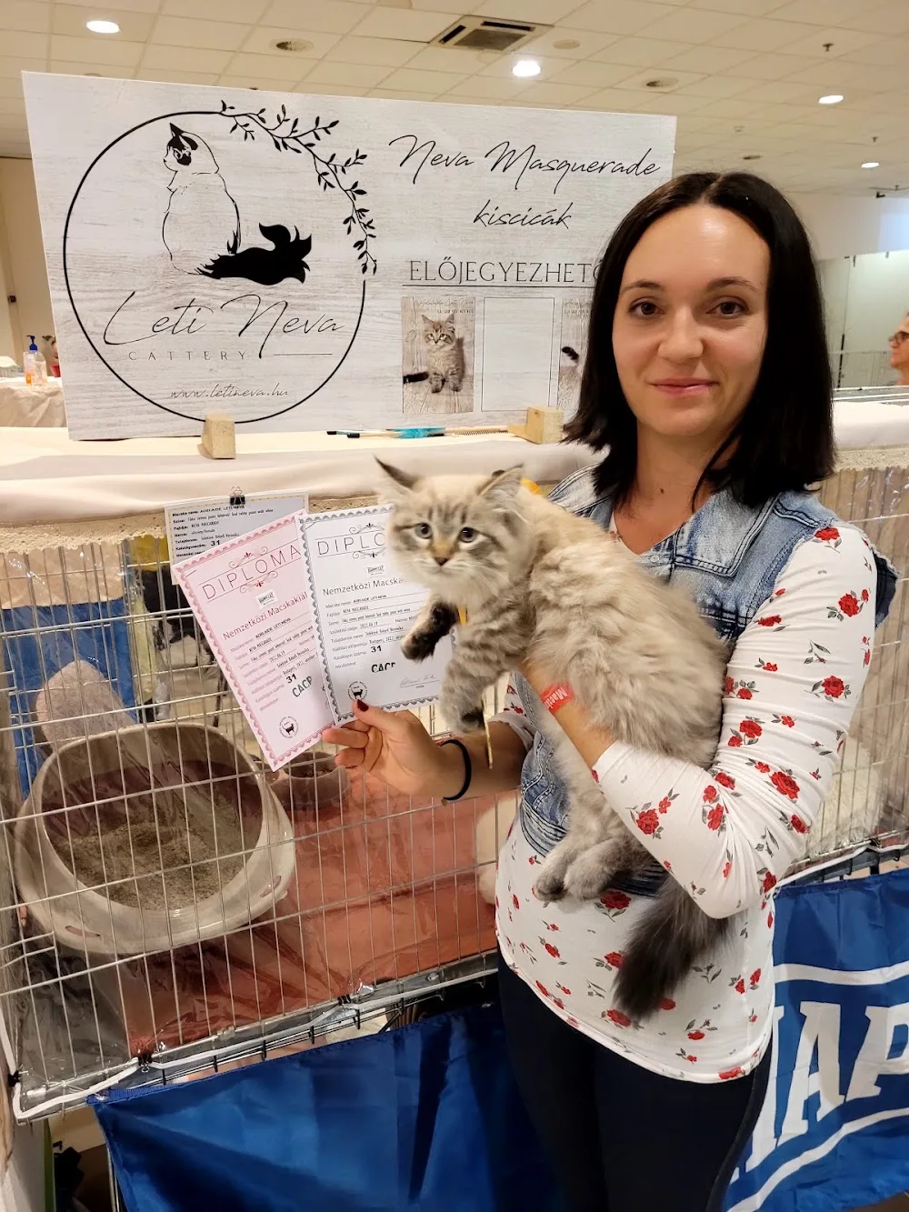 Leti Neva Cattery - Vas County pet otel görseli 4