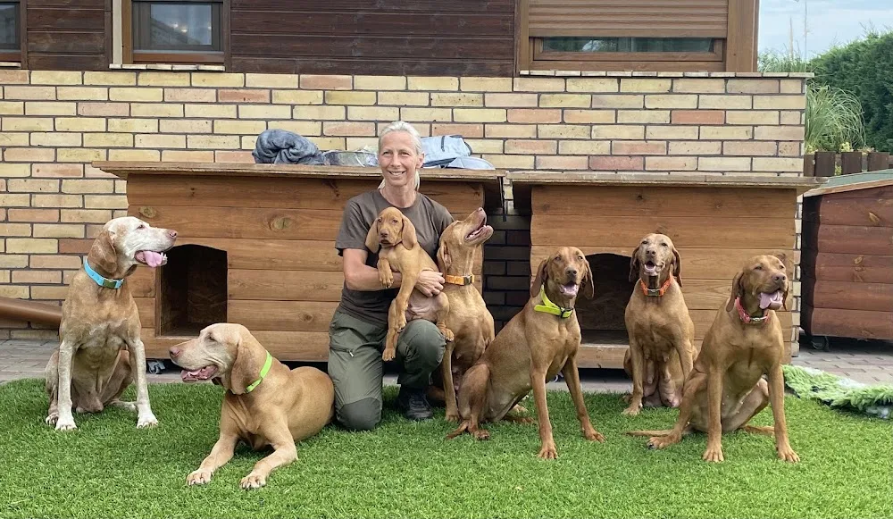 Somlóhegyi Kennel - Vas County pet otel görseli 2