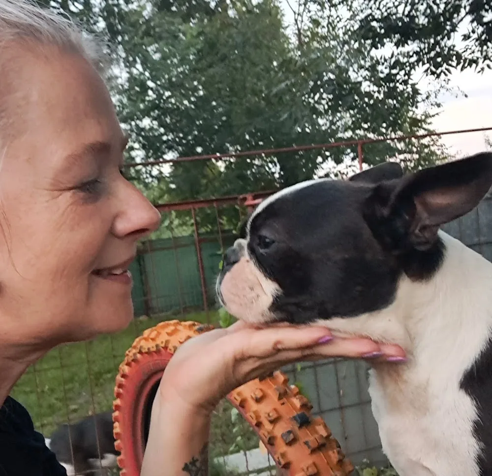 The Best Kennel - Vas County pet otel görseli 6