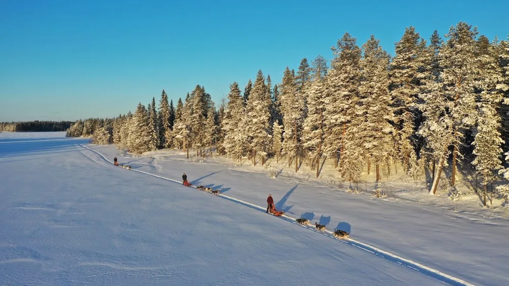 Lapplands Drag Huskyfarm - Västerbotten pet otel