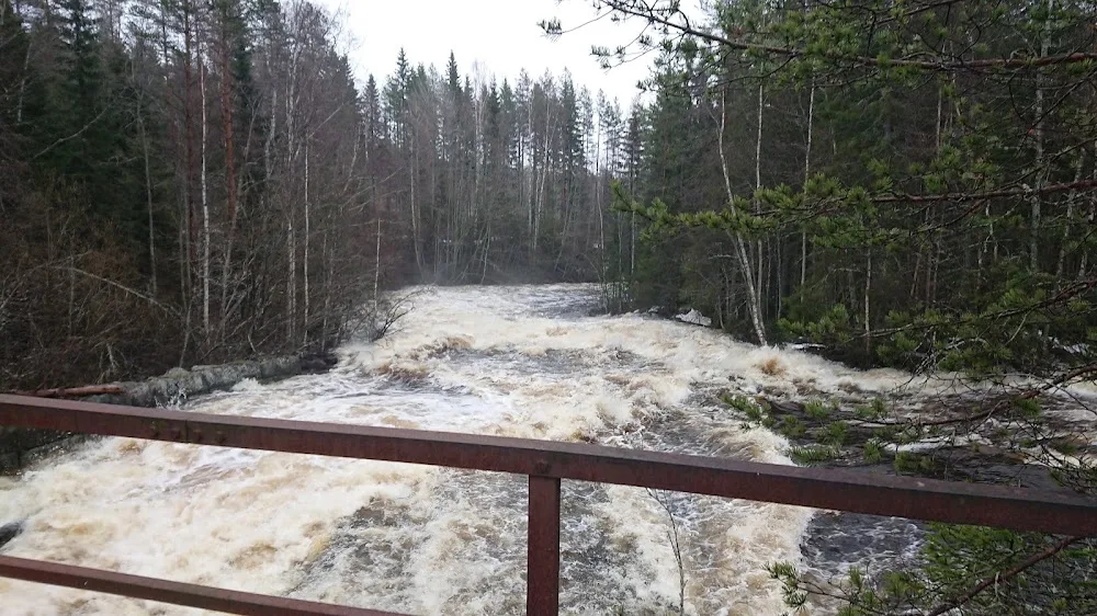 Leduåfors Hundhotell - Västerbotten pet otel görseli 3