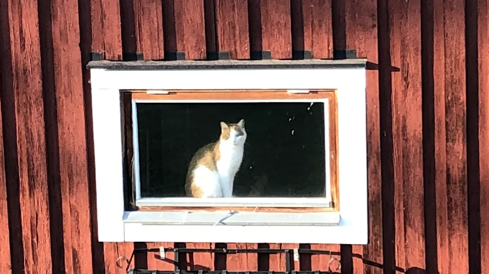 Timra Farm Shop & Pet Boarding - Västerbotten pet otel görseli 3