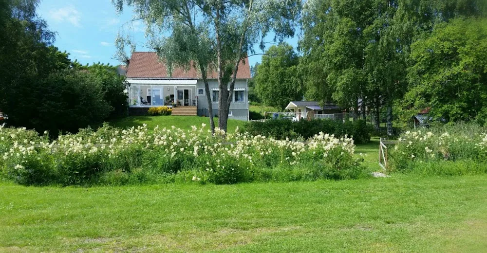 Kennel Searoad's - Västernorrland pet otel görseli 3