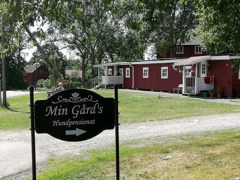 B-Ringens Hundpensionat - Västmanland pet otel