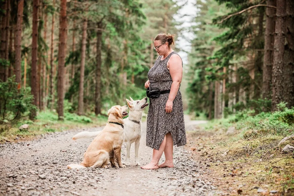 Jägarstugans Hundpensionat - Västmanland pet otel