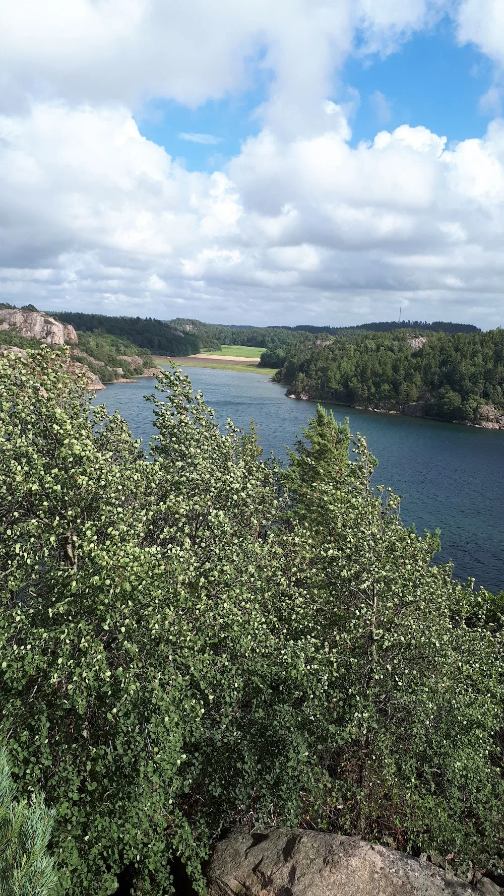 Åbyfjordens kennel - Västra Götaland pet otel
