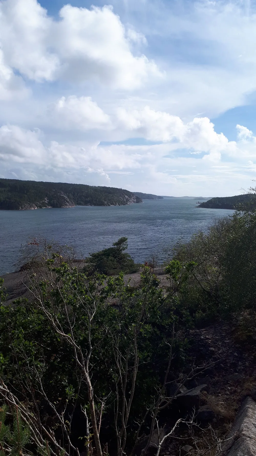 Åbyfjordens kennel - Västra Götaland pet otel görseli 3